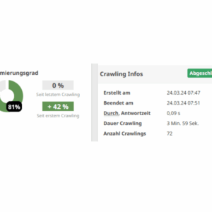 SEO Seobility Analyse Report